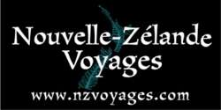 New Zealand Voyages